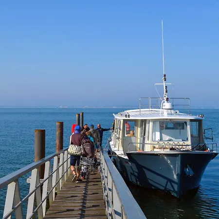 T3 Contemporain Au Bord De L'eau Sur Le Bassin Arcachon لانتون