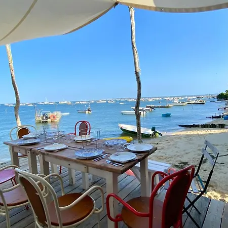 Aparthotel T3 Contemporain Au Bord De L'eau Sur Le Bassin Arcachon Lanton