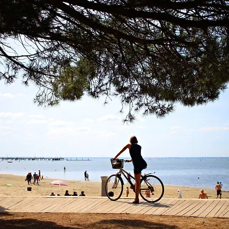 T3 Contemporain Au Bord De L'eau Sur Le Bassin Arcachon Ξενοδοχείο με διαμερίσματα