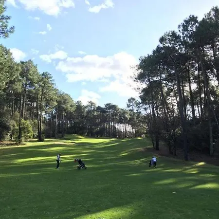 T3 Contemporain Au Bord De L'eau Sur Le Bassin Arcachon * Lanton