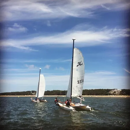 T3 Contemporain Au Bord De L'eau Sur Le Bassin Arcachon Ξενοδοχείο με διαμερίσματα Lanton